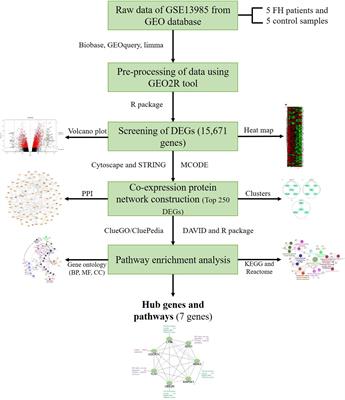 Analysis of Differentially Expressed Genes and Molecular Pathways in Familial Hypercholesterolemia Involved in Atherosclerosis: A Systematic and Bioinformatics Approach